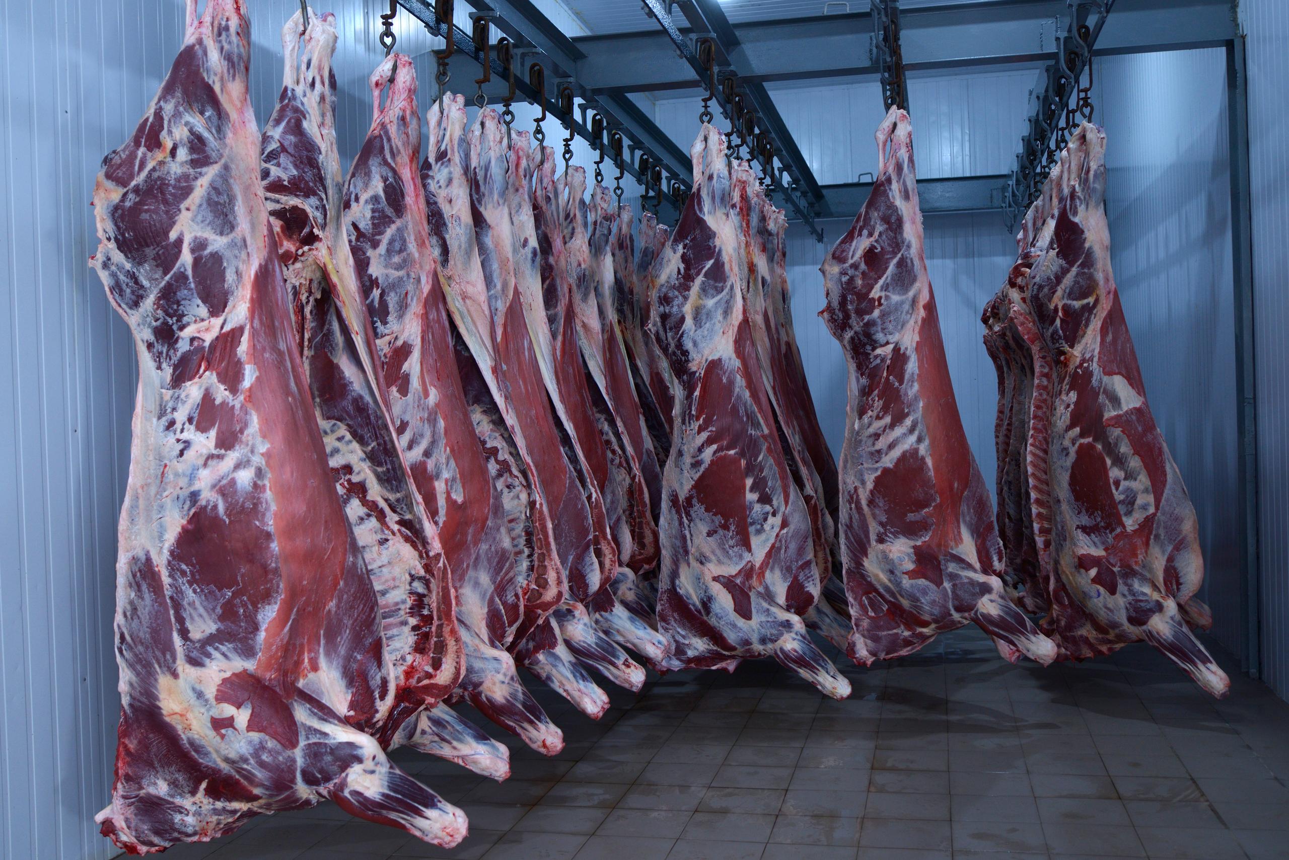 Carne roja en Salamanca
