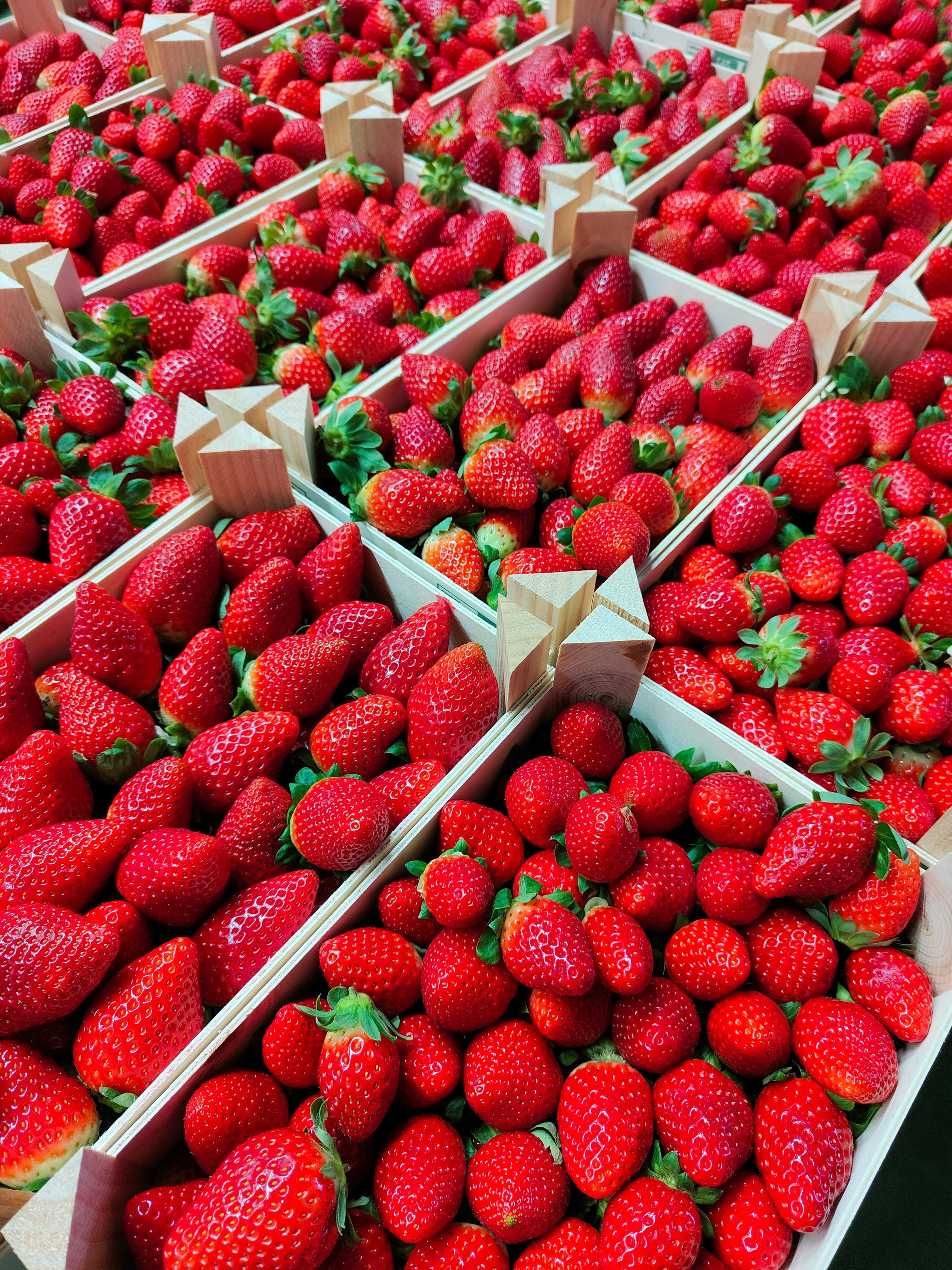 Fresas envasadas en 1kg y 2kg