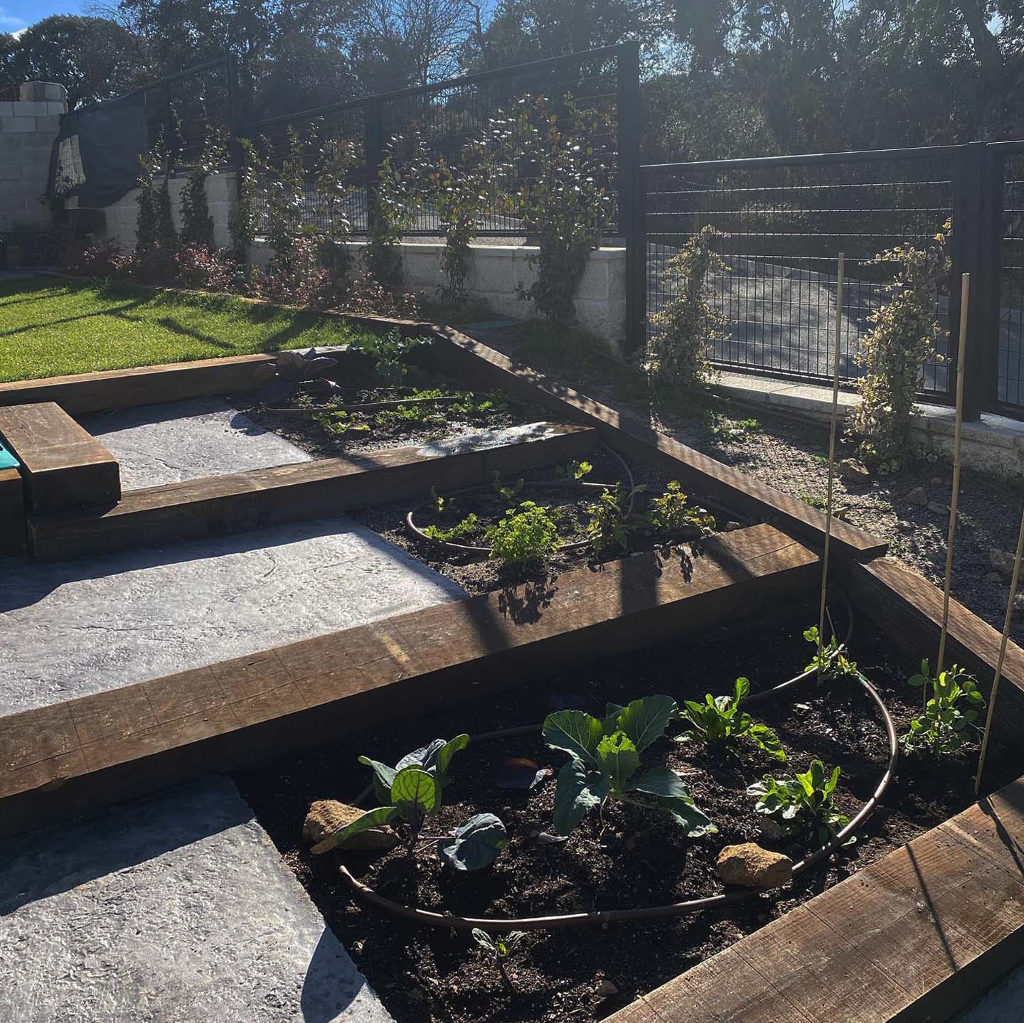 Nueva piscina integrada en paisajismo