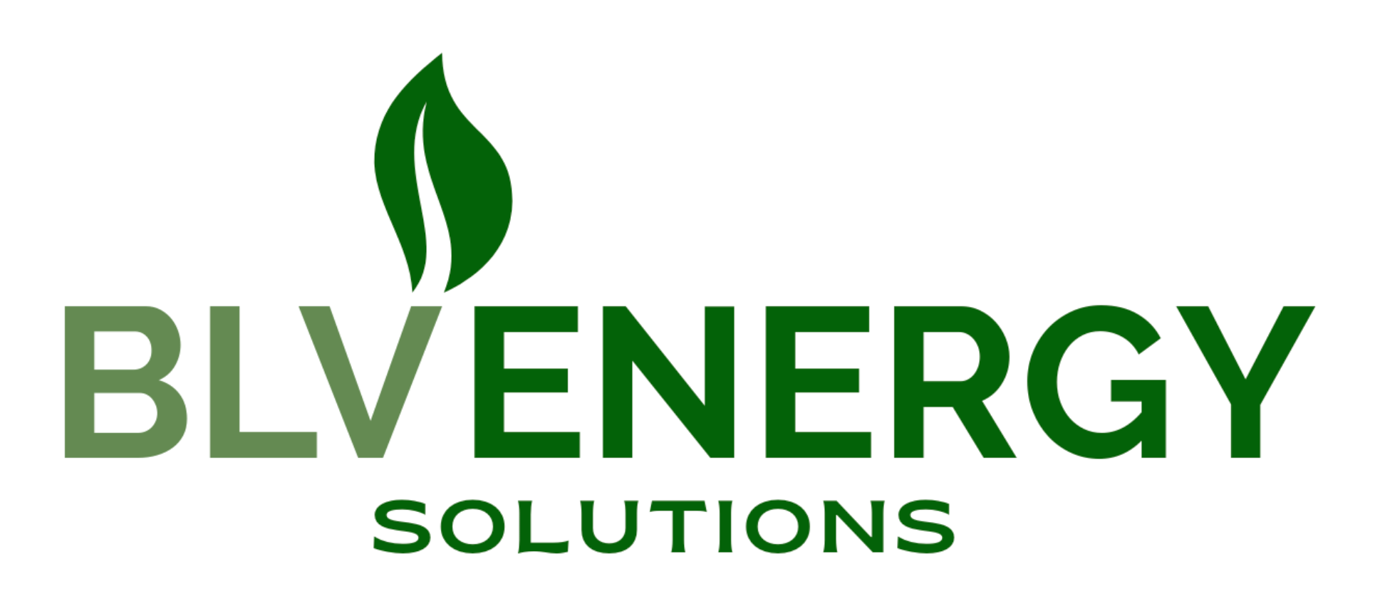 BLV ENERGY SOLUTIONS