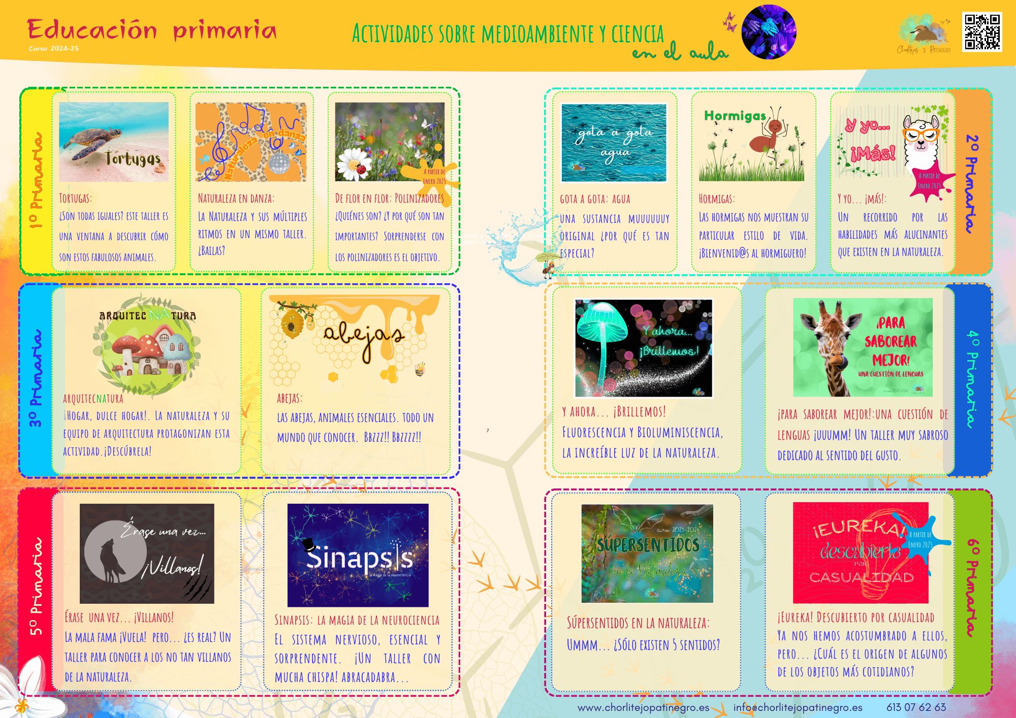 actividades, educación infantil, primaria, colegio, naturaleza, ciencia, aprender, taller, aula, educación, centros educativos, educación medioambiental, Torrevieja, Vega Baja, Murcia, Alicante