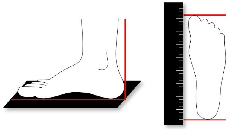 boceto de cómo medirse el pie para saber la talla correcta