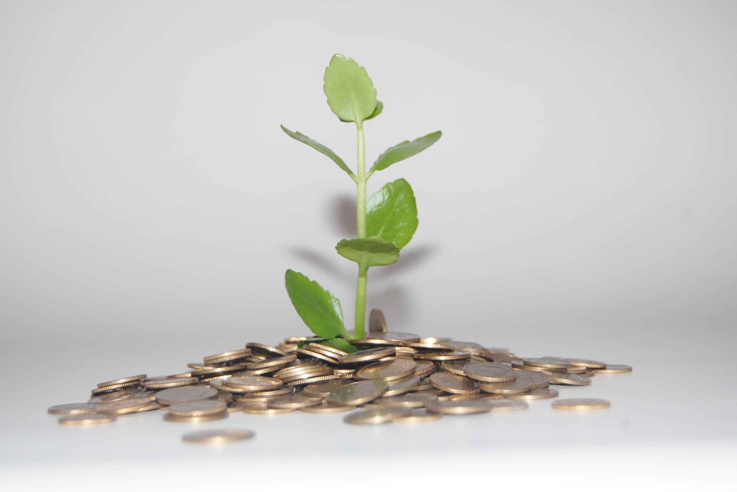 Innovación y sostenibilidad: conoce nuestros 6 nuevos fondos de inversión