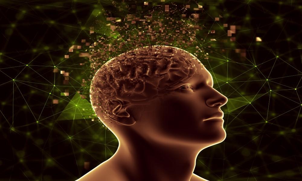 ¿Cómo afecta una adicción al cerebro?