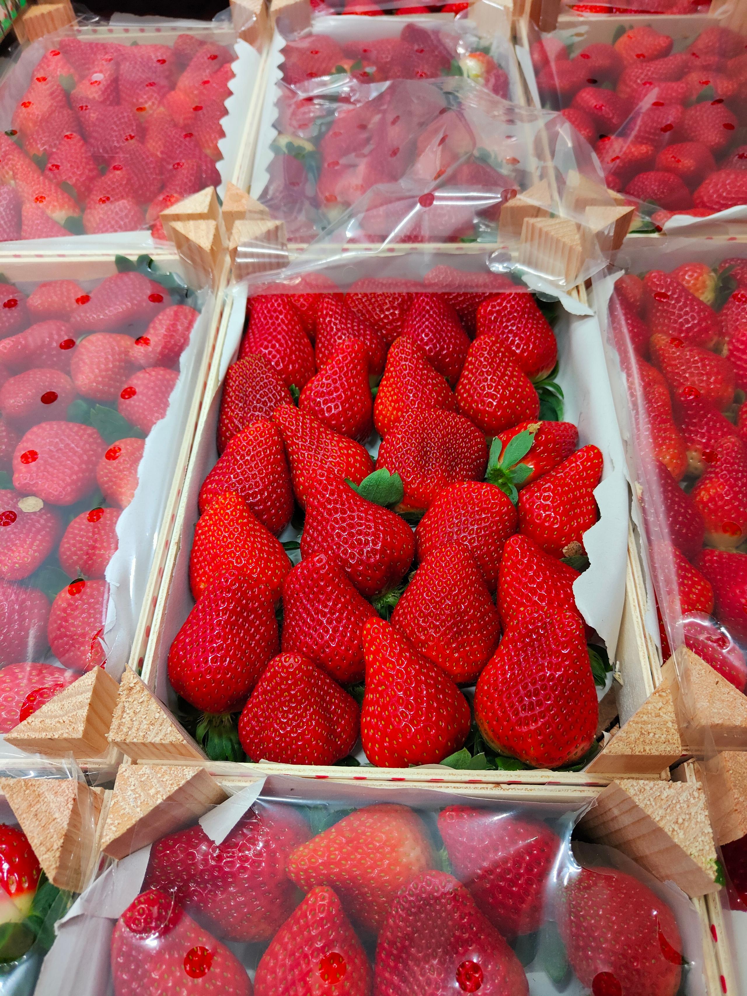 Fresas con auténtico sabor de la tierra